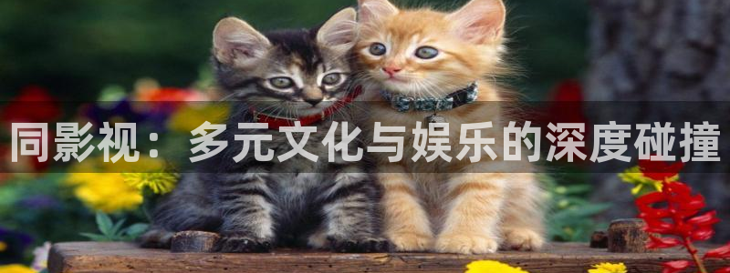 橘子视频免费看电影