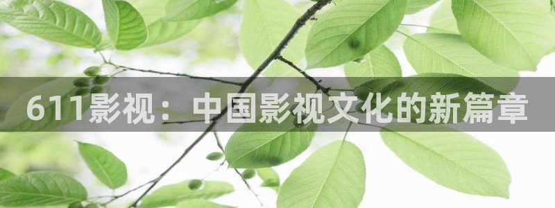 橘子影视网站
